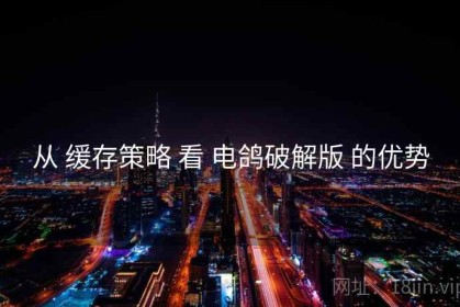 从 缓存策略 看 电鸽破解版 的优势
