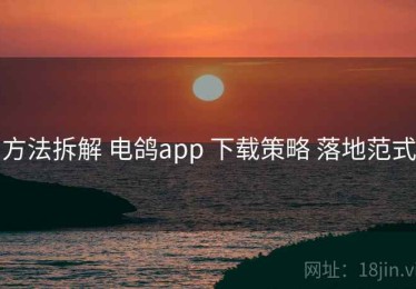 方法拆解 电鸽app 下载策略 落地范式