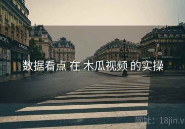 数据看点 在 木瓜视频 的实操