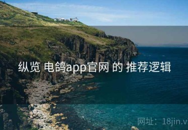 纵览 电鸽app官网 的 推荐逻辑