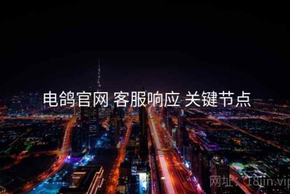 电鸽官网 客服响应 关键节点