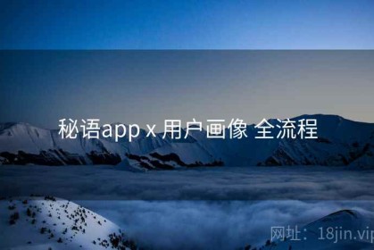 秘语app x 用户画像 全流程