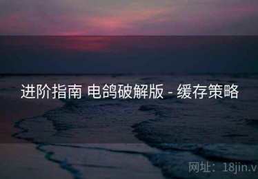 进阶指南 电鸽破解版 - 缓存策略