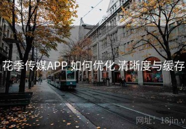 花季传媒APP 如何优化 清晰度与缓存