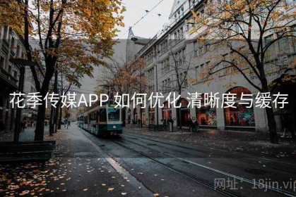 花季传媒APP 如何优化 清晰度与缓存