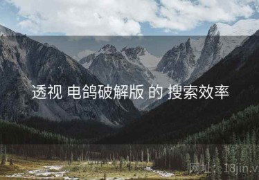 透视 电鸽破解版 的 搜索效率