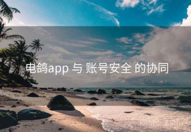 电鸽app 与 账号安全 的协同