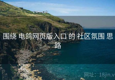 围绕 电鸽网页版入口 的 社区氛围 思路
