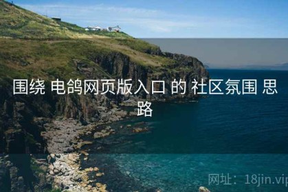 围绕 电鸽网页版入口 的 社区氛围 思路