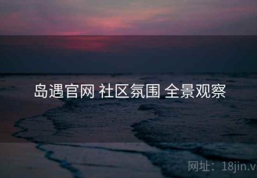 岛遇官网 社区氛围 全景观察