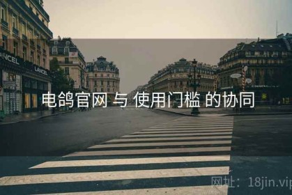 电鸽官网 与 使用门槛 的协同