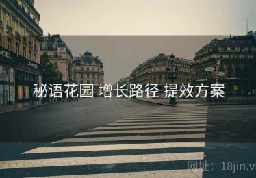 秘语花园 增长路径 提效方案