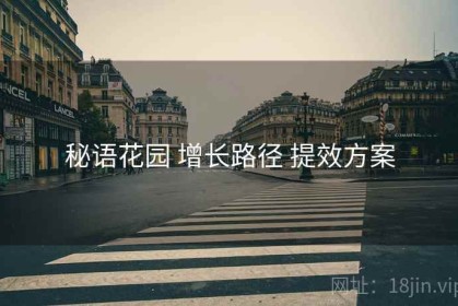 秘语花园 增长路径 提效方案