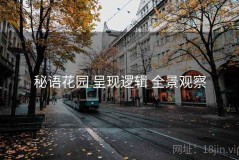 秘语花园 呈现逻辑 全景观察