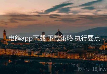 电鸽app下载 下载策略 执行要点