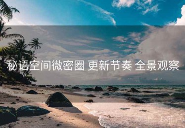 秘语空间微密圈 更新节奏 全景观察