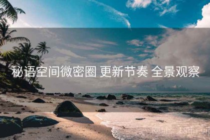 秘语空间微密圈 更新节奏 全景观察