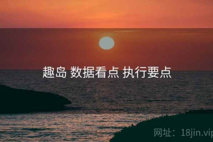 趣岛 数据看点 执行要点