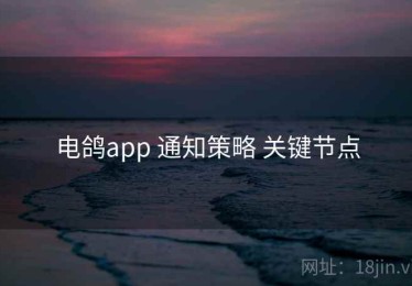 电鸽app 通知策略 关键节点