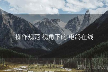 操作规范 视角下的 电鸽在线