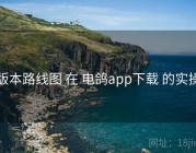 版本路线图 在 电鸽app下载 的实操