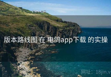 版本路线图 在 电鸽app下载 的实操