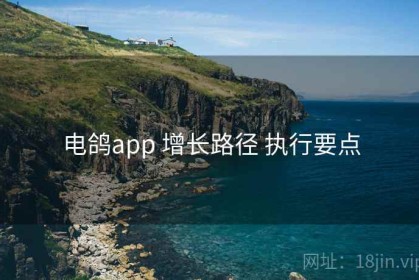 电鸽app 增长路径 执行要点