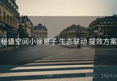 秘语空间小徐崽子 生态联动 提效方案
