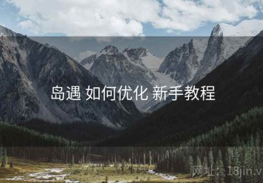 岛遇 如何优化 新手教程