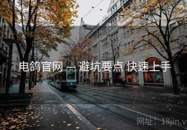 电鸽官网 — 避坑要点 快速上手