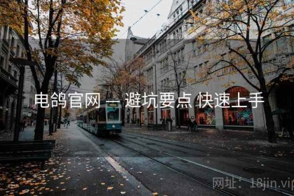 电鸽官网 — 避坑要点 快速上手