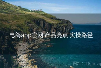 电鸽app官网 产品亮点 实操路径