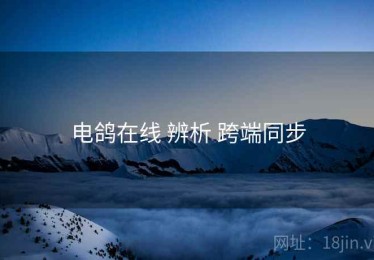 电鸽在线 辨析 跨端同步