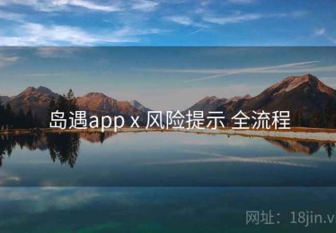 岛遇app x 风险提示 全流程