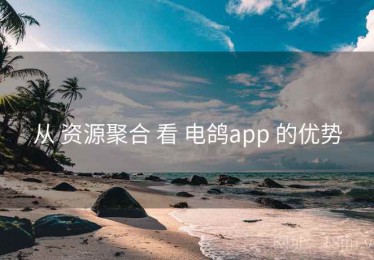 从 资源聚合 看 电鸽app 的优势