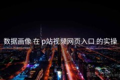 数据画像 在 p站视频网页入口 的实操