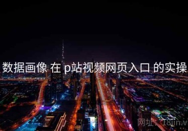 数据画像 在 p站视频网页入口 的实操