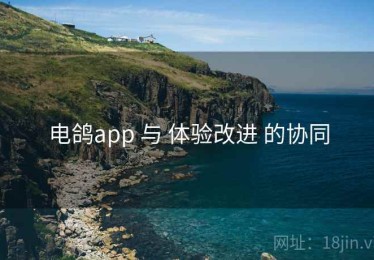 电鸽app 与 体验改进 的协同