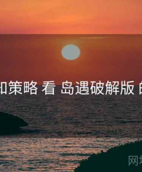 从 通知策略 看 岛遇破解版 的优势
