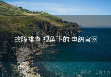 故障排查 视角下的 电鸽官网