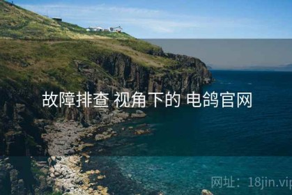 故障排查 视角下的 电鸽官网