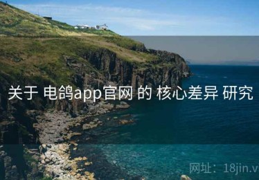 关于 电鸽app官网 的 核心差异 研究