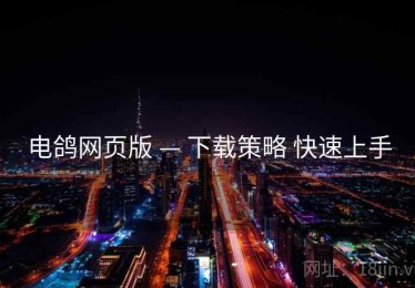 电鸽网页版 — 下载策略 快速上手