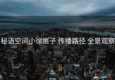 秘语空间小徐崽子 传播路径 全景观察
