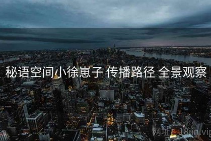 秘语空间小徐崽子 传播路径 全景观察