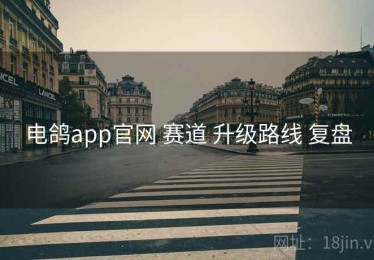 电鸽app官网 赛道 升级路线 复盘