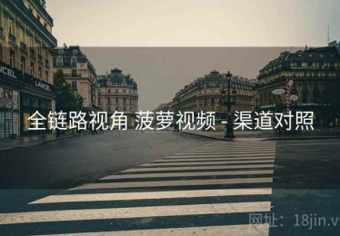 全链路视角 菠萝视频 - 渠道对照