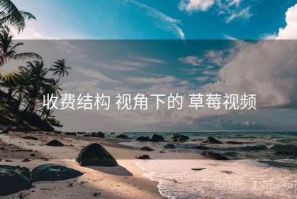 收费结构 视角下的 草莓视频