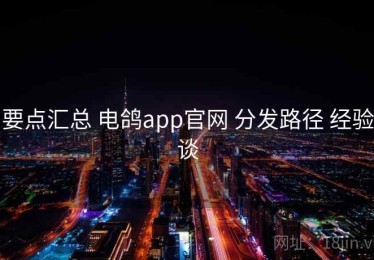 要点汇总 电鸽app官网 分发路径 经验谈