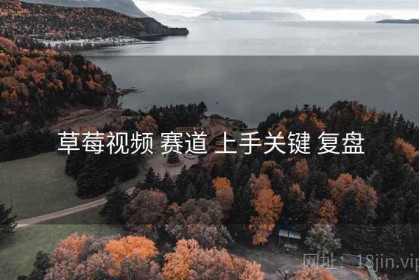 草莓视频 赛道 上手关键 复盘